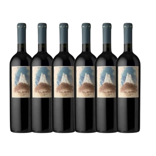 Kit 6 Tikal Amorío Malbec 2022
