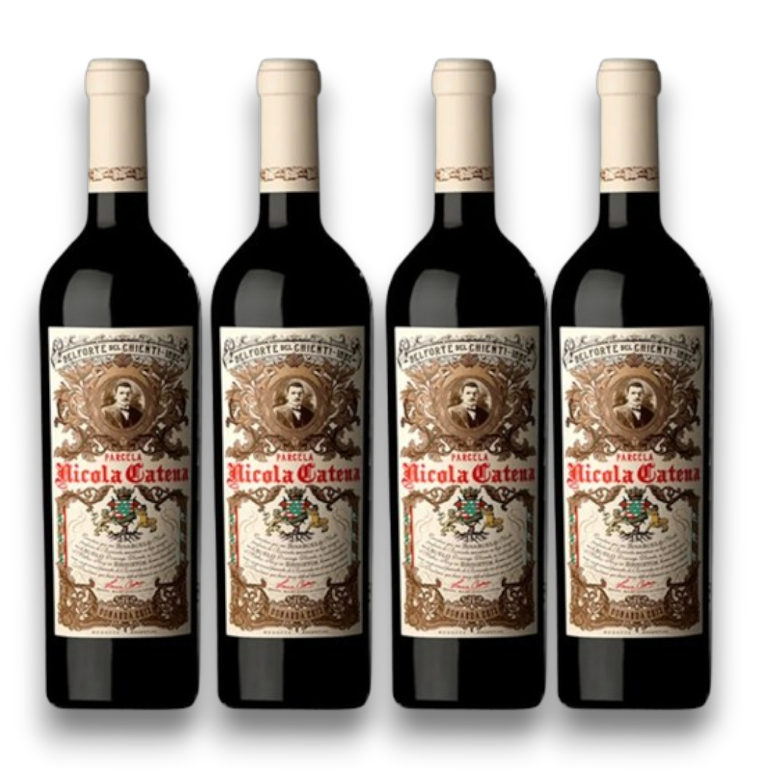Kit 4 Nicola Catena Bonarda 2020